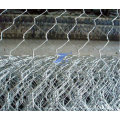 Hot Dipped Galvanized Hexagonal Wire Mesh (TS-J52)